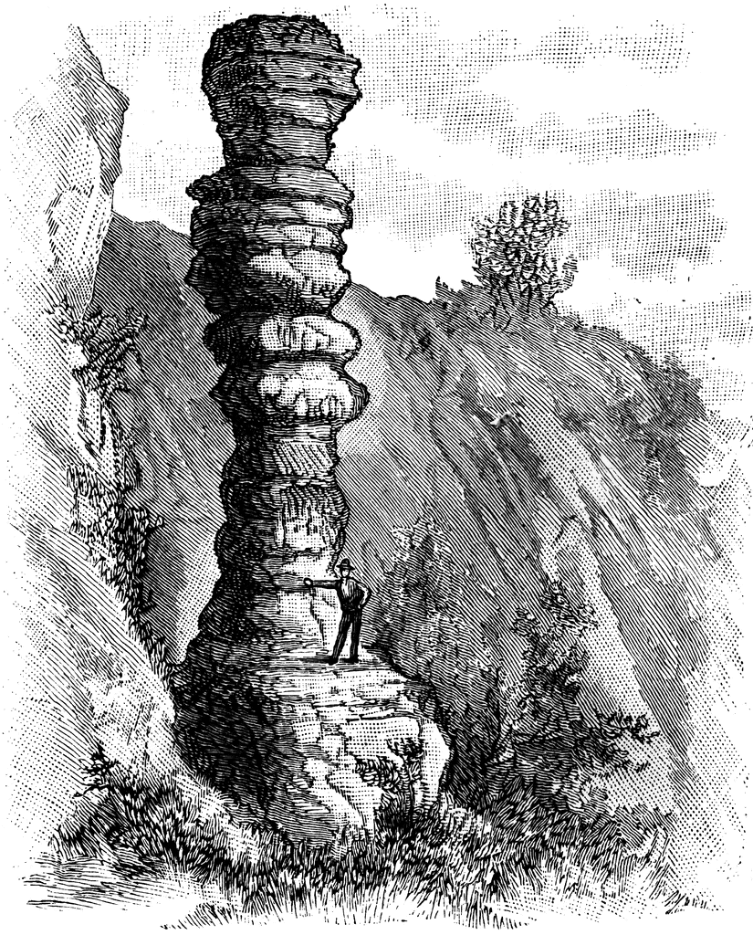 Ecosystem Regulating Service: Erosion Prevention Clip Art at Clker 