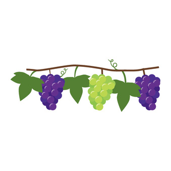 vineyard clipart