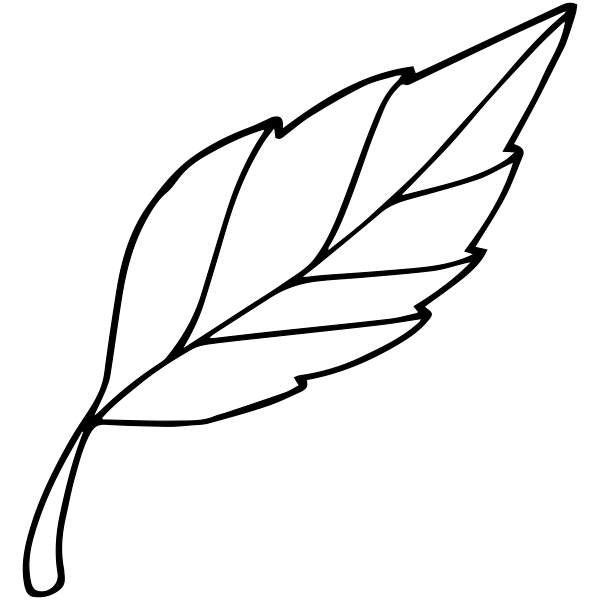 Leaf Outline Stock Illustrations – 373,233 Leaf Outline Stock 