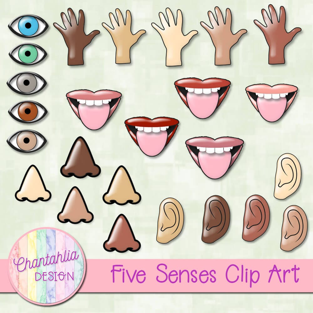 Five Senses - Hearing | Made By Teachers - Clip Art Library