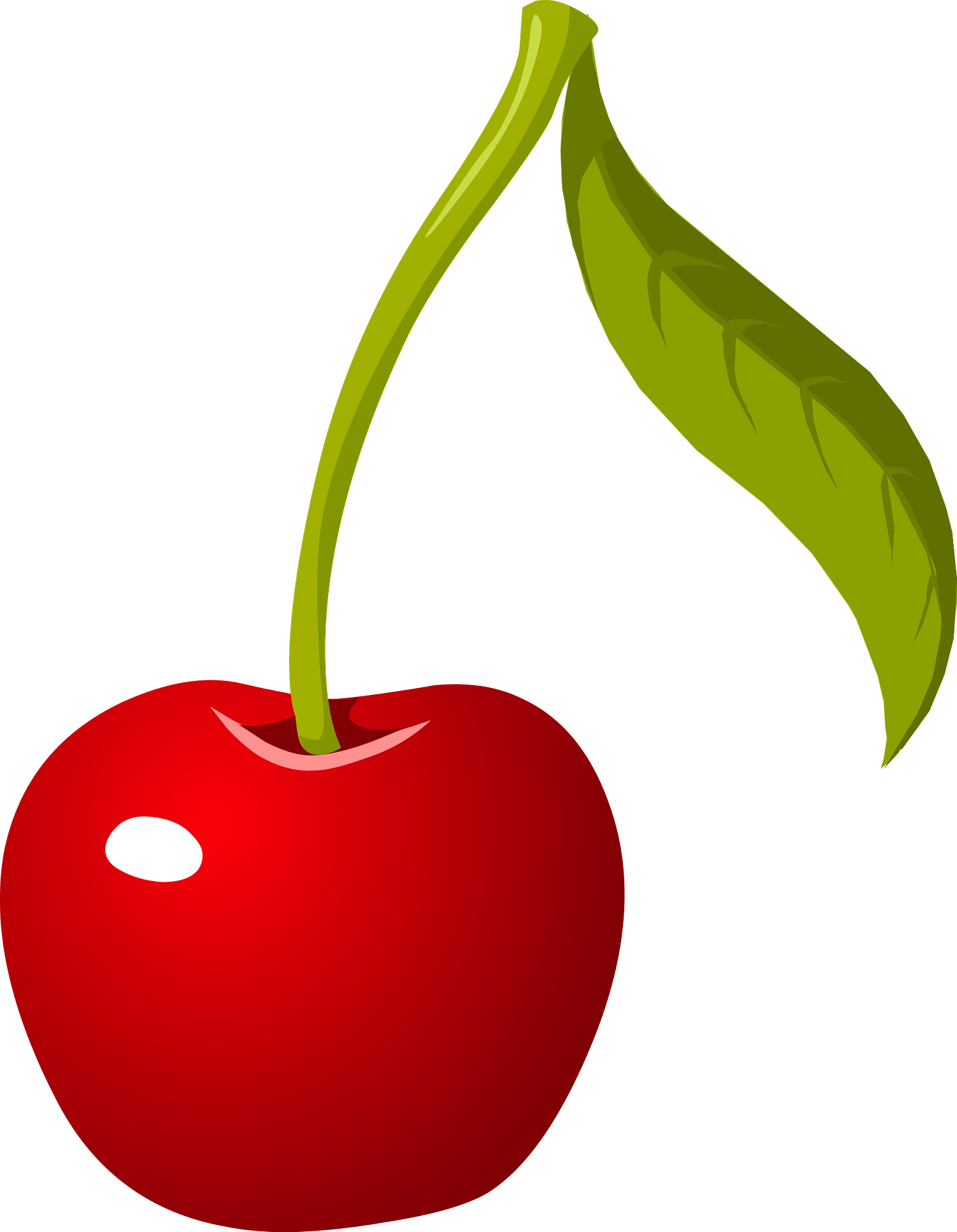 Cherries Clip Art PNG Image Gallery Yopriceville HighQuality