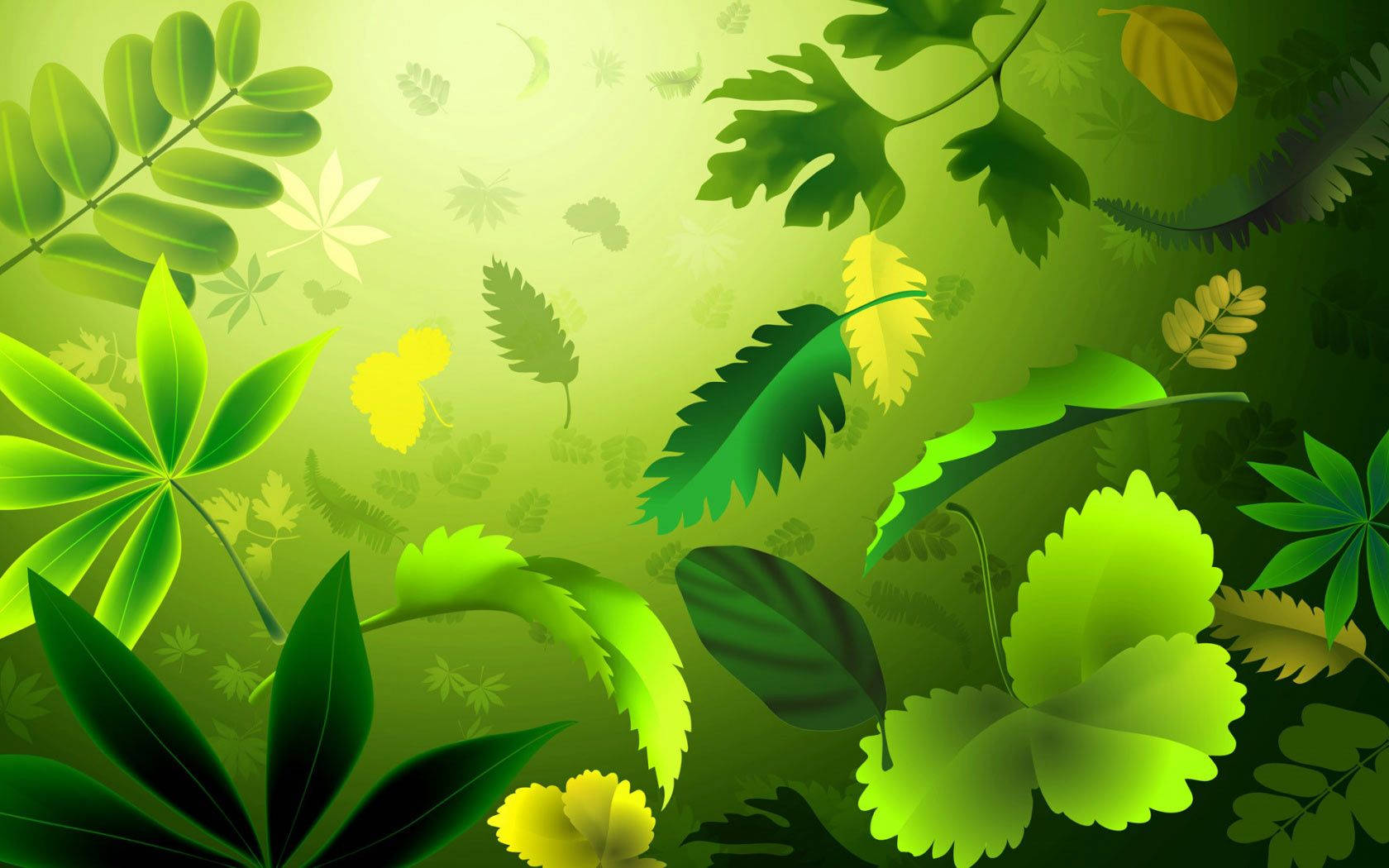 Flower Clipart Wallpapers - Wallpaper Cave