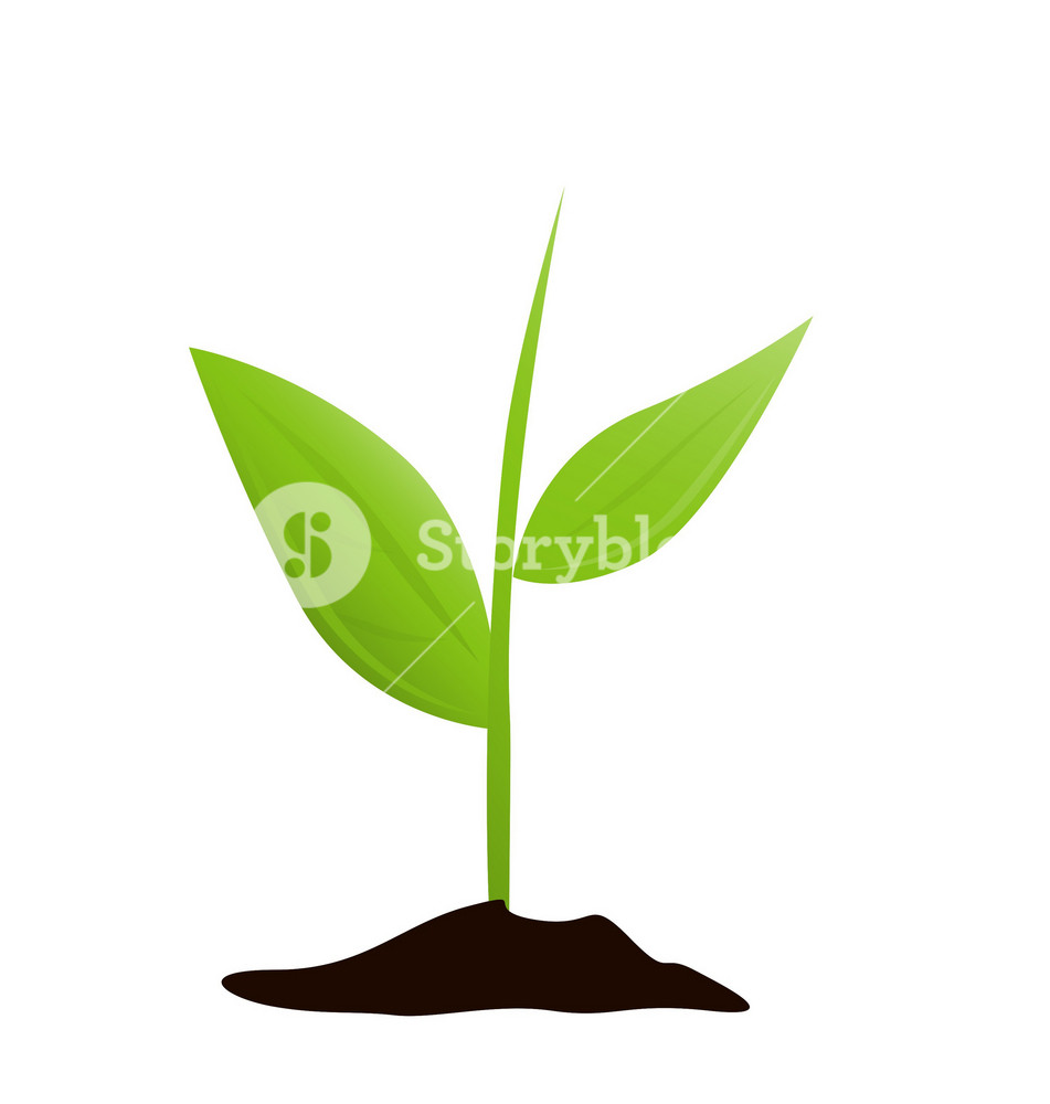 Growing Plant Stock Clipart | Royalty-Free | FreeImages