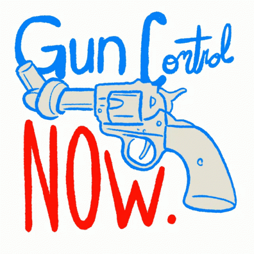 Gun control now