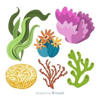 Seaweed Picture for Classroom / Therapy Use - Great Seaweed Clipart ...