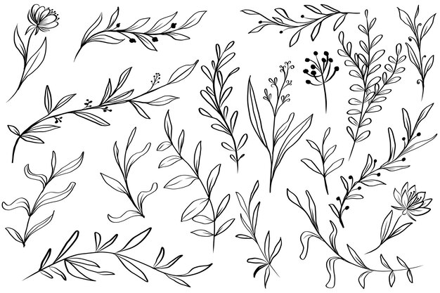 Clear Outline Leaf Clip Art at Clker.com - vector clip art online 
