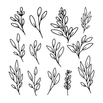 Black and white vector of plants , trees and foliage 18785285 - Clip ...