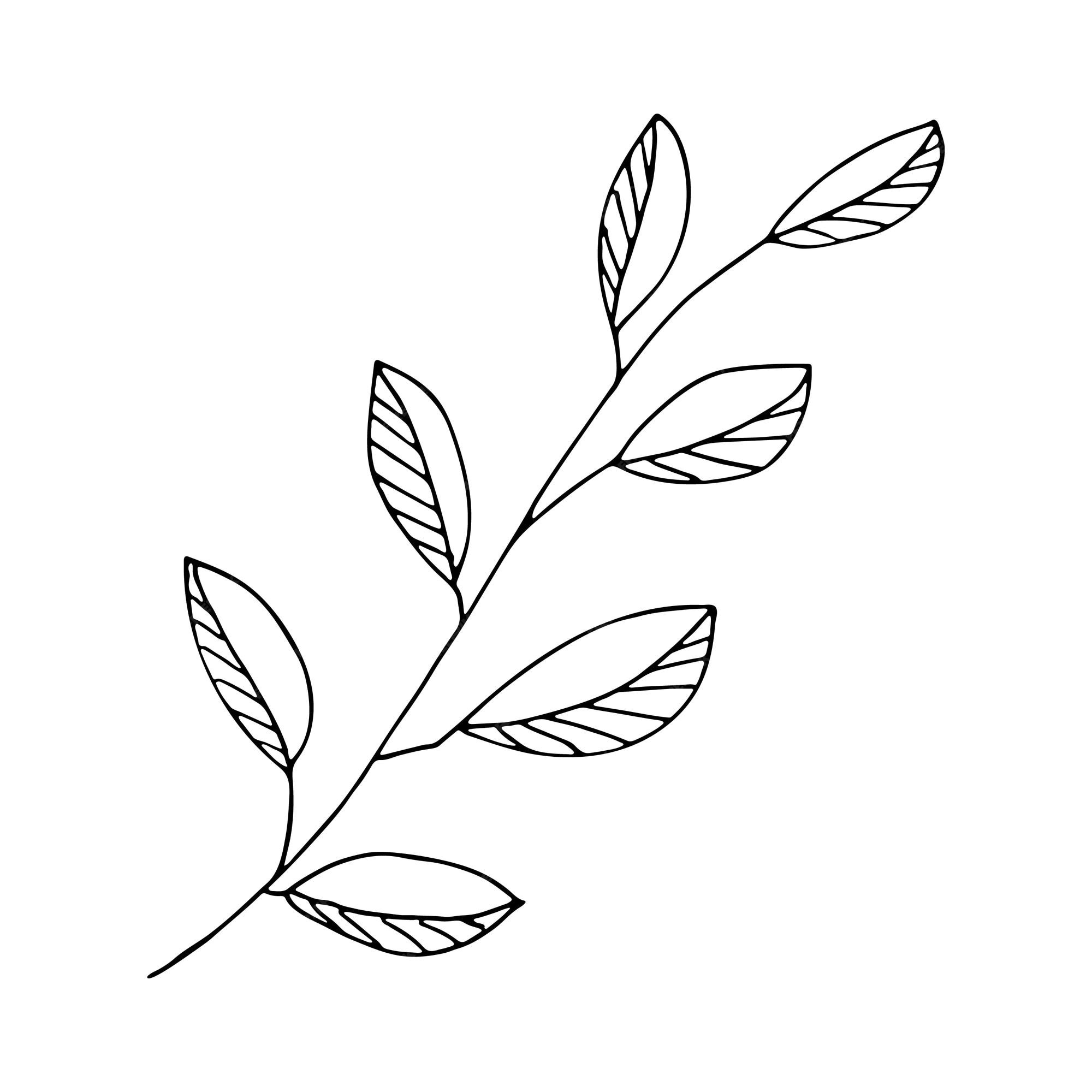 Healthy Herbs Clipart - Black Outline Floral Line Art - Clip Art Library