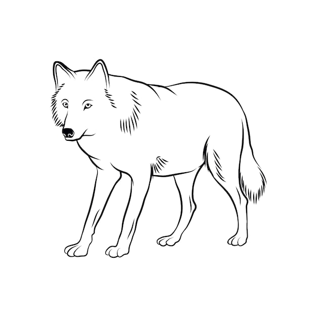 Wolf Head Clipart Illustration Graphic by TiveCreate · Creative 