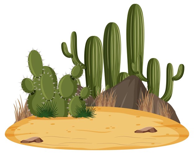 4,800+ Arizona Desert Illustrations, Royalty-Free Vector Graphics 