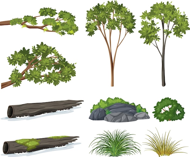 Moss on stones rocks and green lichen Royalty Free Vector