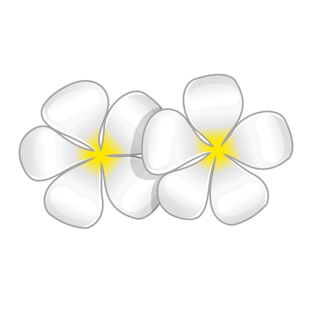 380+ Jasmine Flower Clipart Illustrations, Royalty-Free Vector 