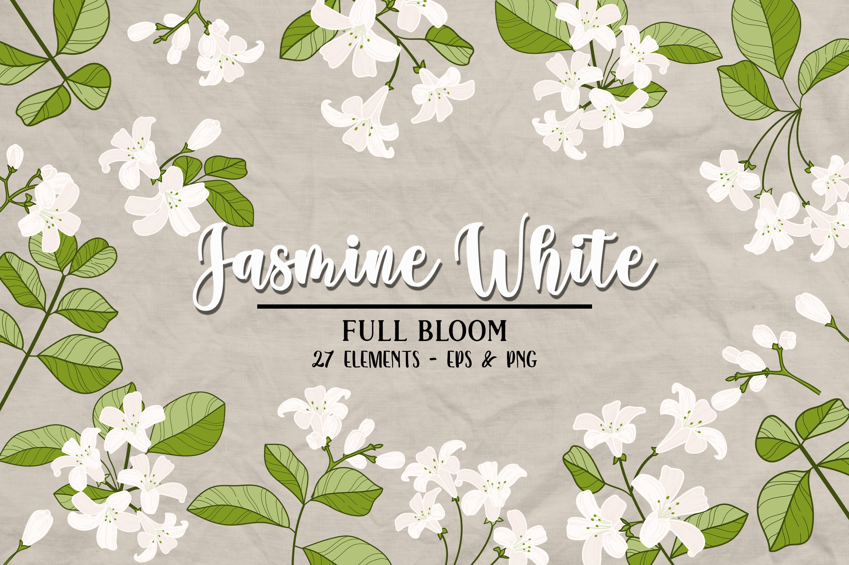 Jasmine SVG - Jasmine Flower Clipart Graphic by Younique Aartwork ...