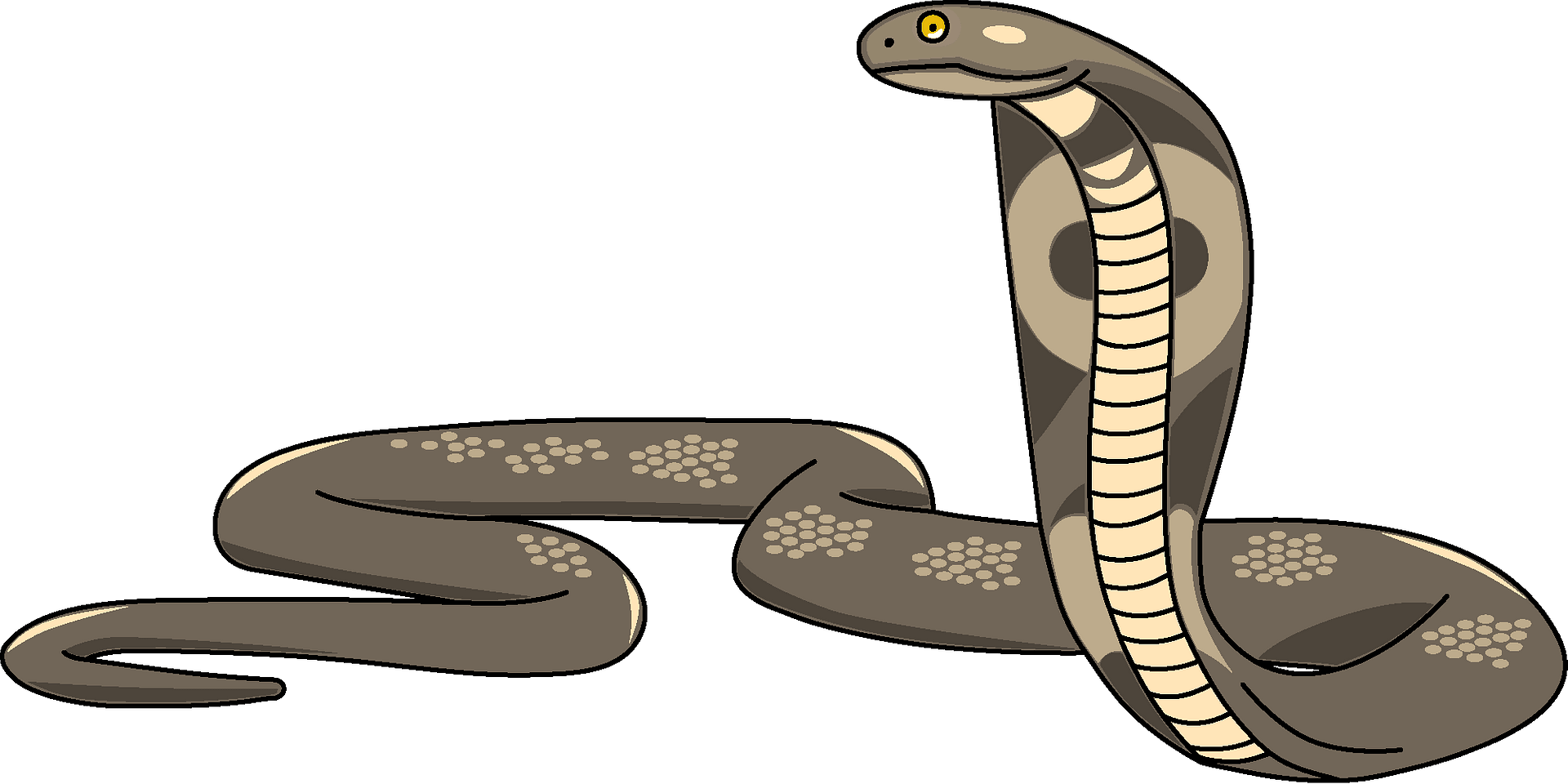 King Cobra Snake – MasterBundles