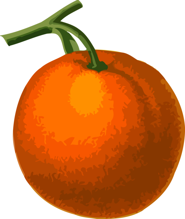 clementine Icon for Free Download | FreeImages
