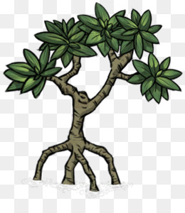 mangrove clipart