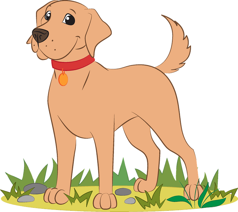 Labrador retriever dogs in different poses and coat colors clipart 