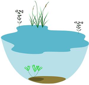 Ecosystem clipart images and royalty-free illustrations | Clipart.com