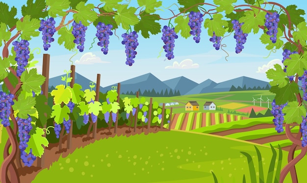 Vineyard Stock Illustrations – 46,184 Vineyard Stock Illustrations