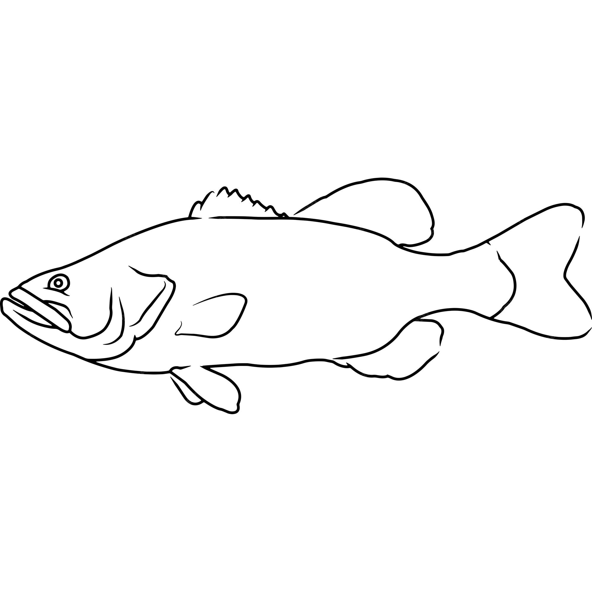 bass-fish-clipart-stock-illustrations-266-bass-fish-clipart-clip