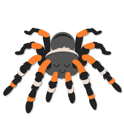 Tarantula SVG Spider Svg Spider Clipart Tarantula Clipart - Etsy