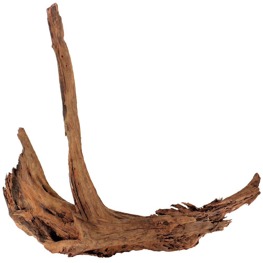 driftwood clipart