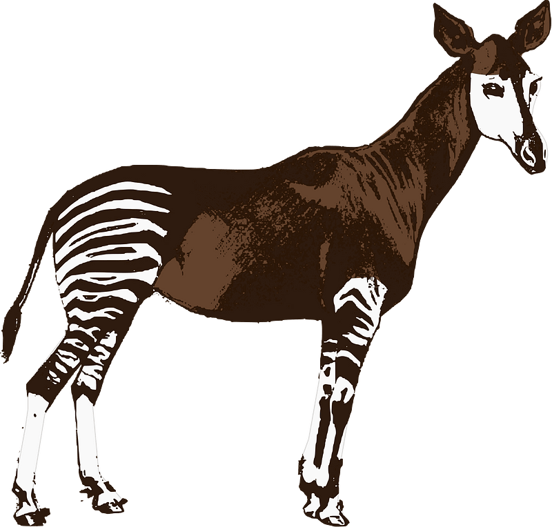 Clip Art Basic Words Okapi Color Unlabeled I Abcteach Com Clip Art Library