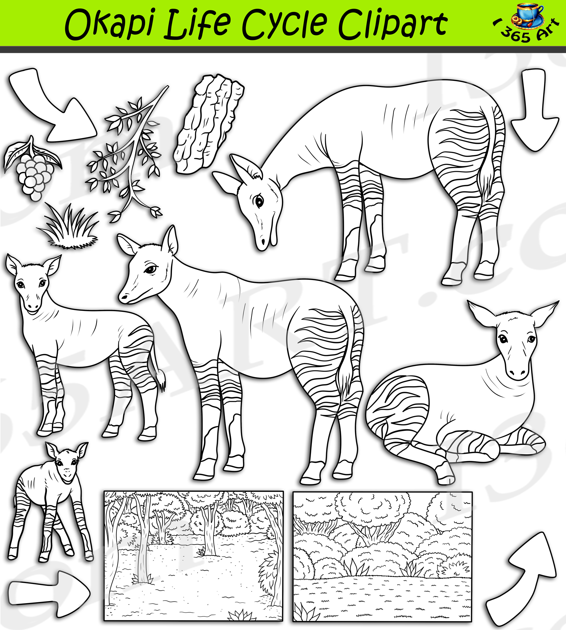 Amazon.com: DG Graphics Okapi Art Decor 4' x 5' Magnet Vinyl 