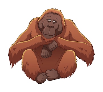 orangutan clipart
