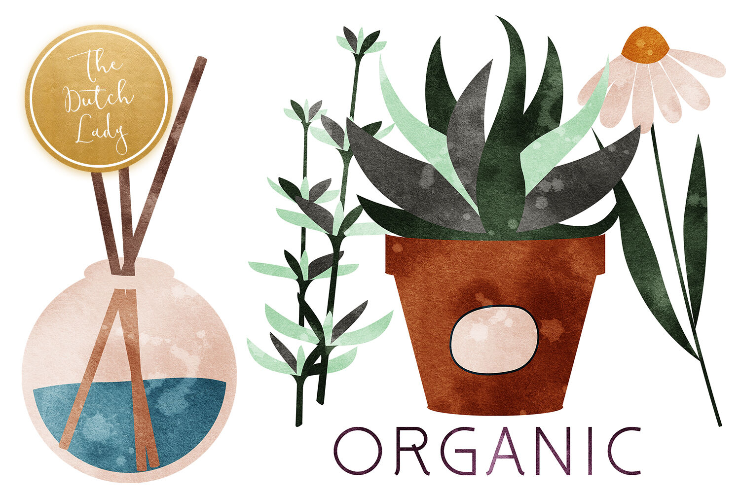 apothecary clipart