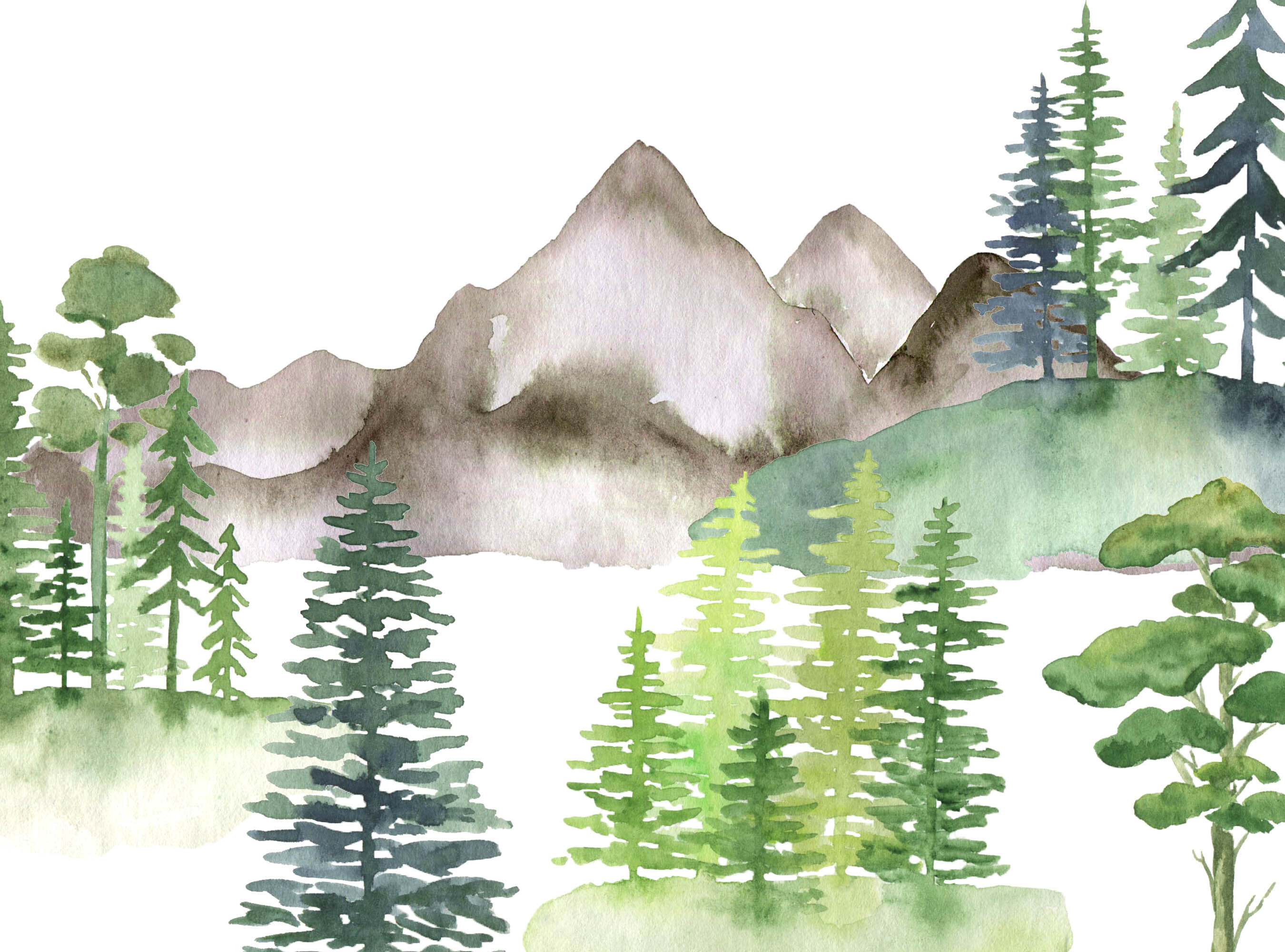 landscaping clipart tree