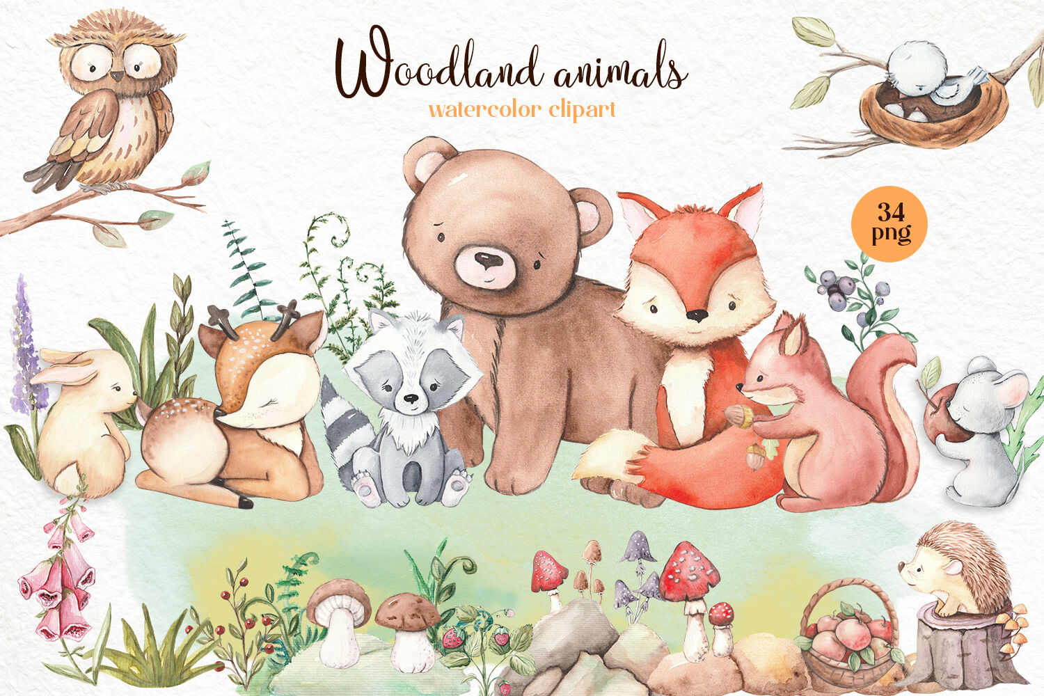 Watercolor Woodland Animals Clipart - Cute Forest Animals - Clip Art 