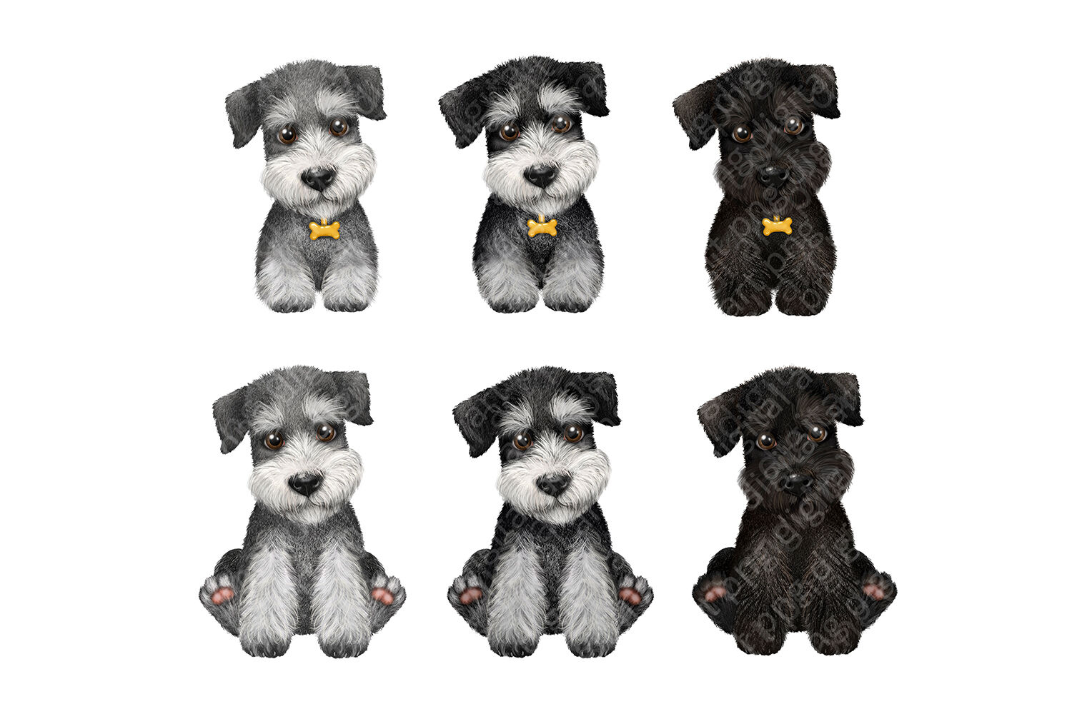 Free schnauzer clipart, Download Free schnauzer clipart png images ...