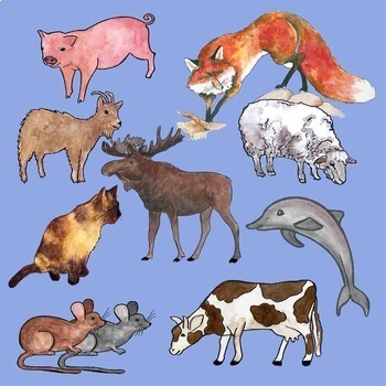 mammals clipart