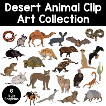 Armadillo Cactus and Friends Desert Wildlife Clipart and - Etsy in 