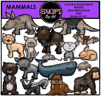 mammals clipart