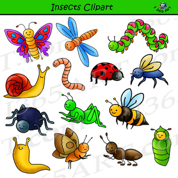 Cute Bugs Clipart, Insects Clipart Graphic by Alefclipart 