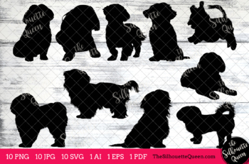 shih tzu clipart