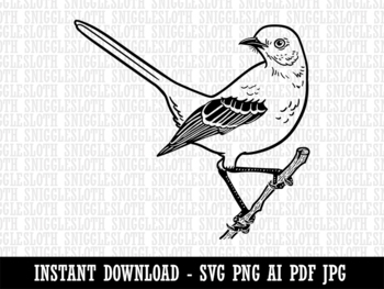 Mockingbird Clipart Images | Free Download | PNG Transparent 