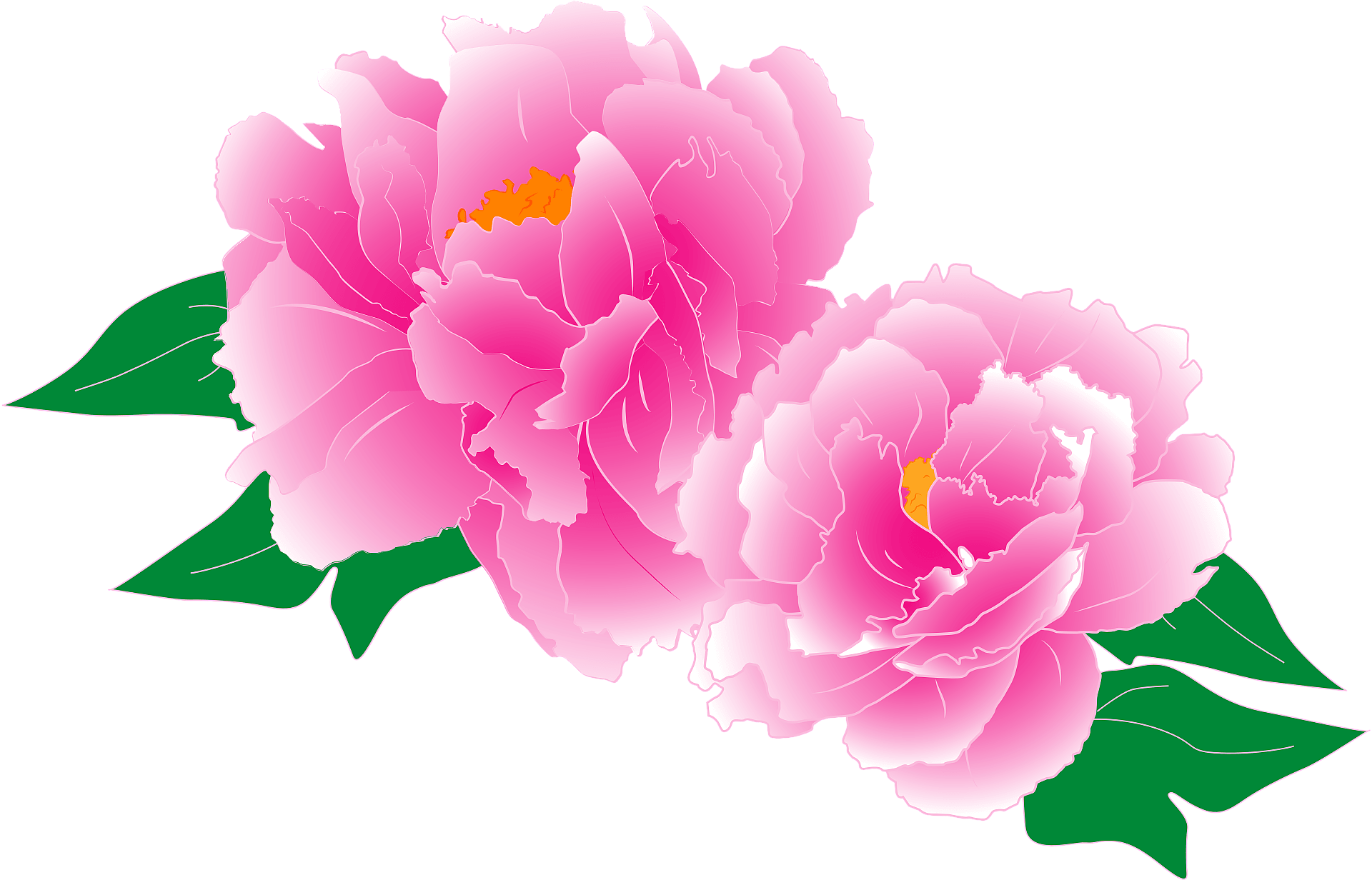 13,546 Peony Icon Images, Stock Photos, 3D objects, & Vectors - Clip ...