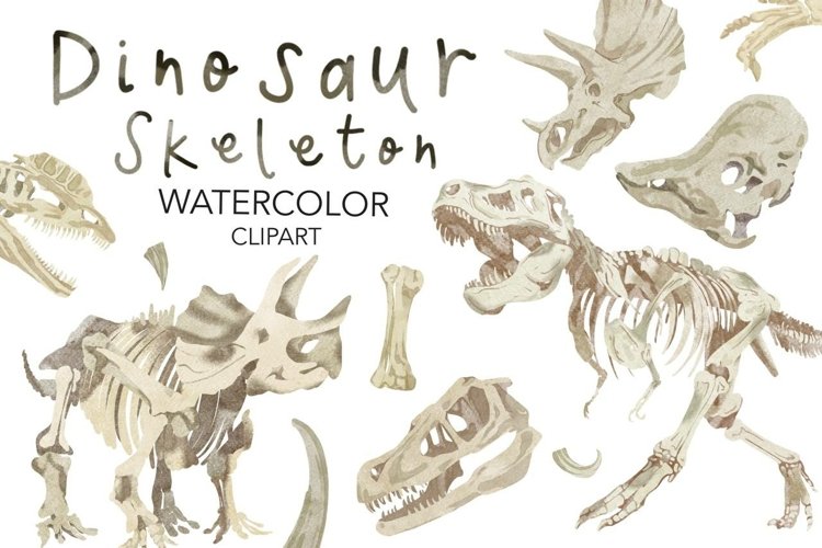 dino skeleton clipart