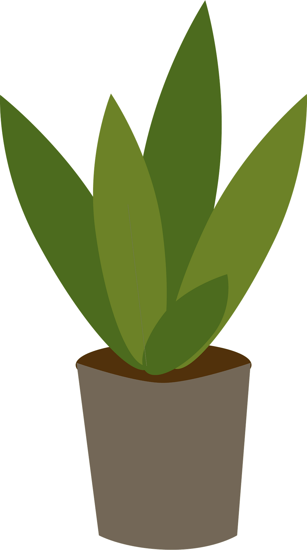 spring-growing-plant-png-transparent-clipart-gallery-clip-art-library