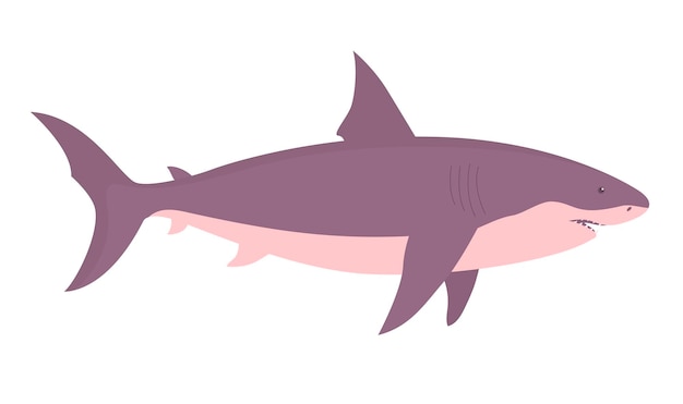 Lamnidae,Shark,Carcharhiniformes PNG Clipart - Royalty Free SVG / PNG