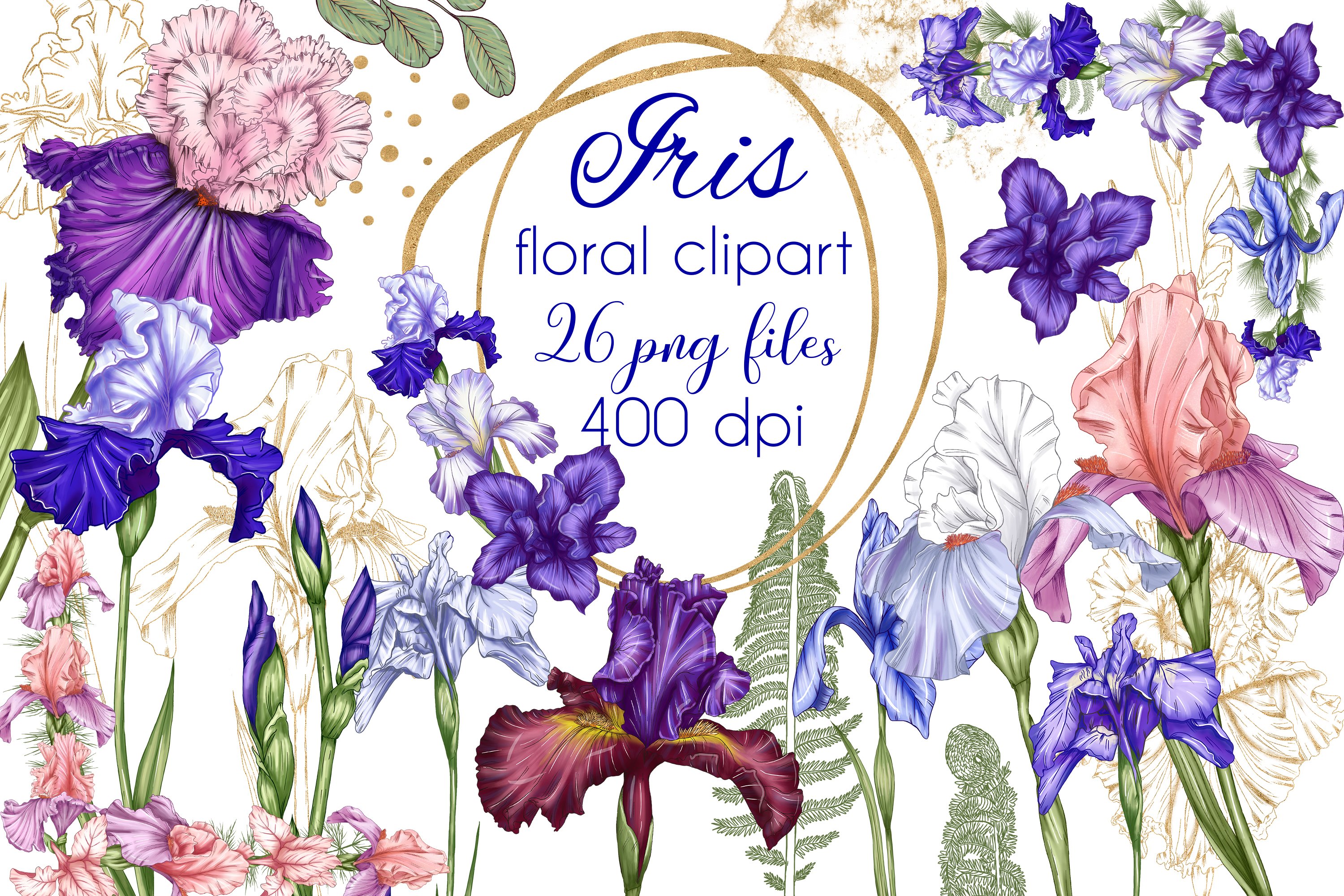 Iris Fleur Cliparts, Stock Vector and Royalty Free Iris Fleur 