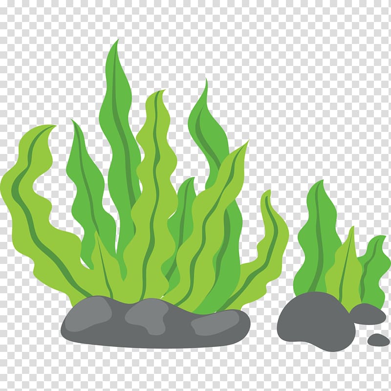 seaweed clipart