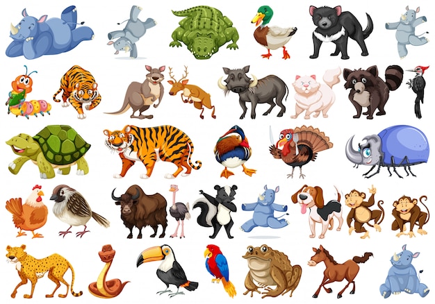 free clipart animals