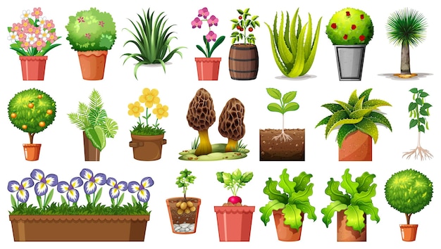 164,900+ Little Plant Illustrations, Royalty-Free Vector Graphics 