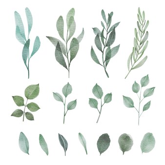 Greenery Clipart. Free Download Transparent .PNG or Vector | Creazilla ...