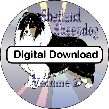 Premium AI Image | Playful Sheltie Dog Sticker Clipart In Artgerm 