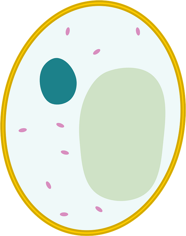 yeast clipart